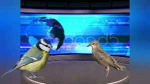 кто хочет стать миллионером 1 часть