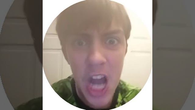 кто украл кору дерева 😂😂😂 смотреть онлайн