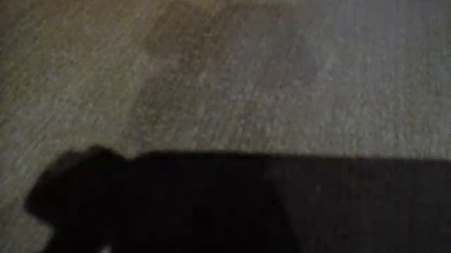 Боевые жучки смотреть онлайн