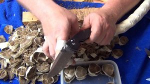 Benchmade 805 M390 =VS= Benchmade 710 M390 #1