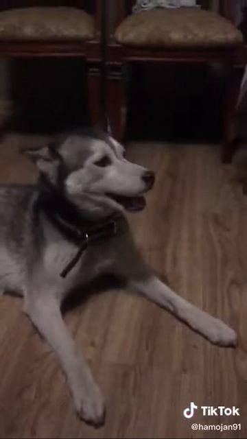 7 апреля 2020 г. смотреть онлайн