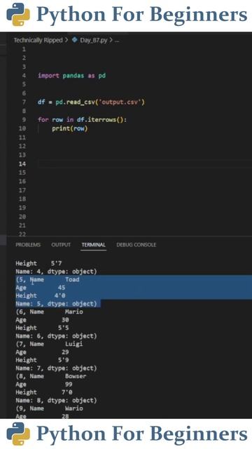 Iterate A CSV File Using Pandas | Python For Beginners