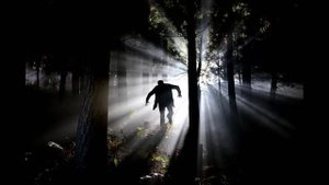 Приснился второй кошмарный сон