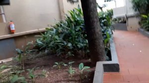 Best Resort in goa // Whispering palm beach resort goa