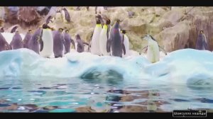 #Islam#Quran#TaHa#ٌMinshawiy#Коран#СурТаХа#СамыеКрасивыеМеста#Relaxation#4кВидео#5часть#