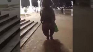 зайцы бегут домой с работы