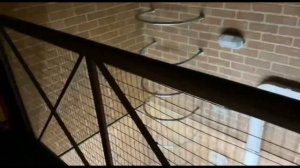 VLOG : НОЧЁВКА С ПОДРУГОЙ// САМАРА