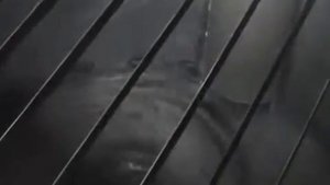 Мукопросеиватель П2П