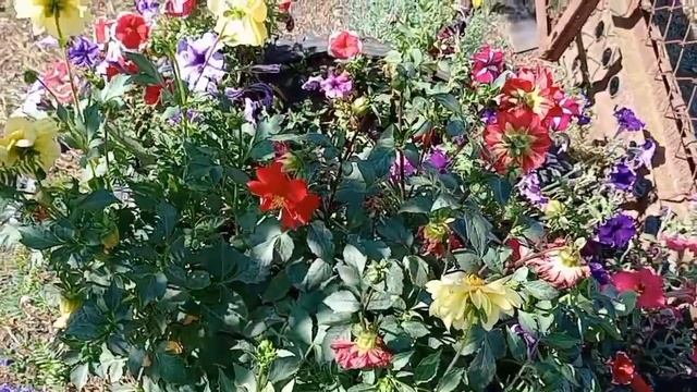 Одинокая грусть