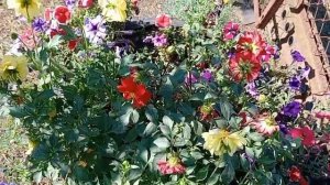 Одинокая грусть❤️💘💝💖💗💓💞💕💌♥️❣️💔❤️🔥💗💖💘