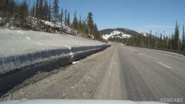 Медведь на "Полке" смотреть онлайн