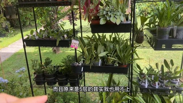 两个花架变三个的简单方法！