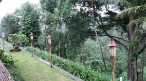 Bucu View Hotel, Ubud, BALI 2019