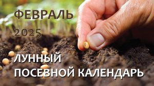 Лунный Посевной Календарь на Февраль 2025