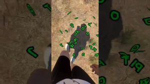 Беровские бугры