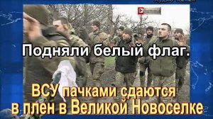 Подняли белый флаг. ВСУ пачками сдаются в плен в Великой Новоселке