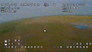 test flight vtx speedy bee tx800