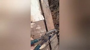 Дом из старого сруба, реально ли построить красивый дом? часть 1/Бюджетный дом/из чего построить дом