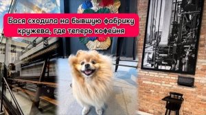 Бася сходила на бывшую фабрику кружева, где теперь кофейня