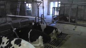 Ферма внутри