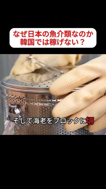 日本の魚介類でも韓国のソースガニにはかなわない#shortsvideo #food #shorts #世界の驚きフード#食べ物 смотреть онлайн