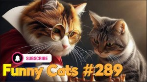 Смешные коты #289