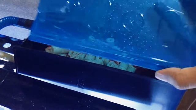 Fish tank top filter | Aquarium filter upgrade | external filter 💦 смотреть онлайн
