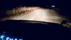 На что способна стоковая Жигули