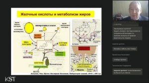 От неалкогольной жировой (НАЖБП) к метоболически ассоциированной болезни печени (МАЖБП)