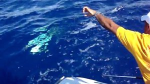 Рыбалка в Доминиканской Республике.