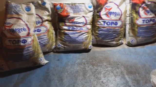 Какой торф использую для разведения червей. смотреть онлайн