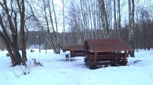 Зеленоград, Москва лесопарковая зона и пенье птиц