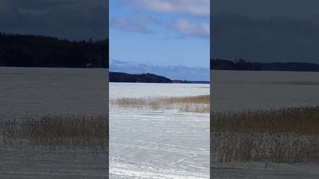 Камеры Регистрации, Места Обитания,Фиксация Слепки Отпечатки,Следы, Остатки и Останки смотреть онлайн