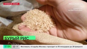 Нутрициолог рассказала, как выбрать качественный бурый рис