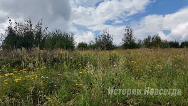 После похорон мужа, вдова нашла за свадебной фотографией ключ. А узнав… смотреть онлайн
