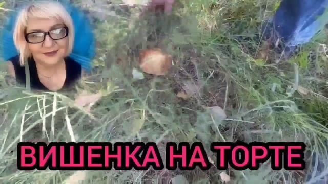 ВО ВСЕЙ ПРИРОДНОЙ КРАСЕ. ОЛЬГА УРАЛОЧКА LIVE. ОБЗОР. смотреть онлайн