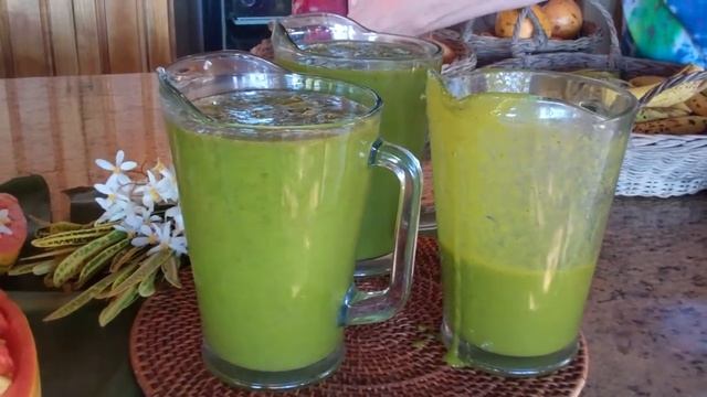 Raw Vegan Food We Eat at Love Raw Food Retreat Costa Rica