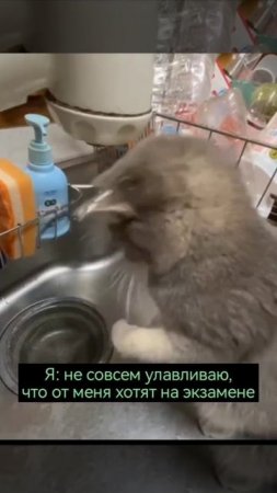 а как решать то?..
Подписывайся и готовься с нами)