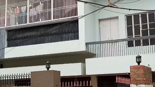 BEST COACHING IN VARANASI FOR IIT-JEE AND NEET PREPARATION смотреть онлайн