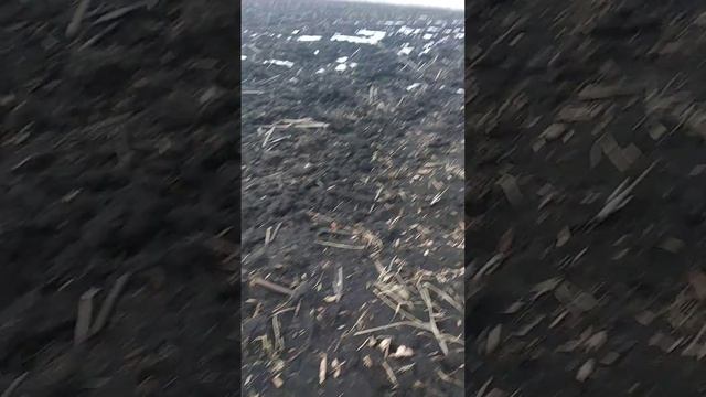 Обзор поля на пары смотреть онлайн