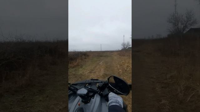 Кладоискатели.