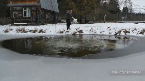 Пруд с рыбой зимой. Известкую воду