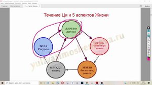 5 урок_5 божеств бацзы как 5 сфер жизни