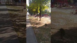 г, Столбцы Беларусь