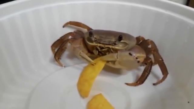 NICE CUBE #2 - ЛУЧШИЕ ПРИКОЛЫ 2017 смотреть онлайн