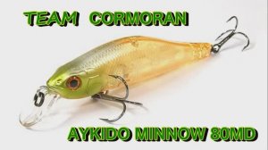 Жерех зимой на спиннинг