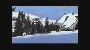 Скоро весна... Шаля.