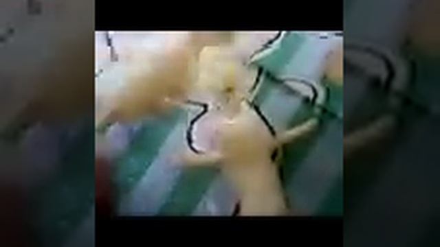 El sufle mas famoso del mundo *-* смотреть онлайн