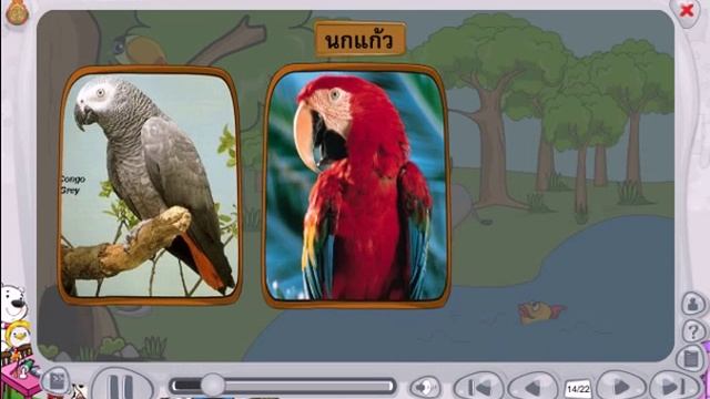 สื่อการเรียนรู้ วิชา วิทยาศาสตร์ ชั้น ป.1 เรื่อง กิจกรรมจัดกลุ่มสัตว์ смотреть онлайн
