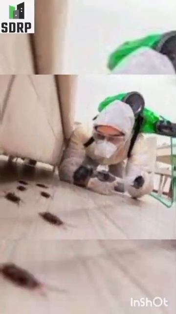 pest control  #homepestcontrol #home#business #motivation  #construction #termitecontrol